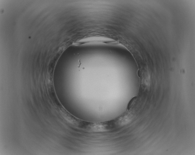 X0000076450518200610202338