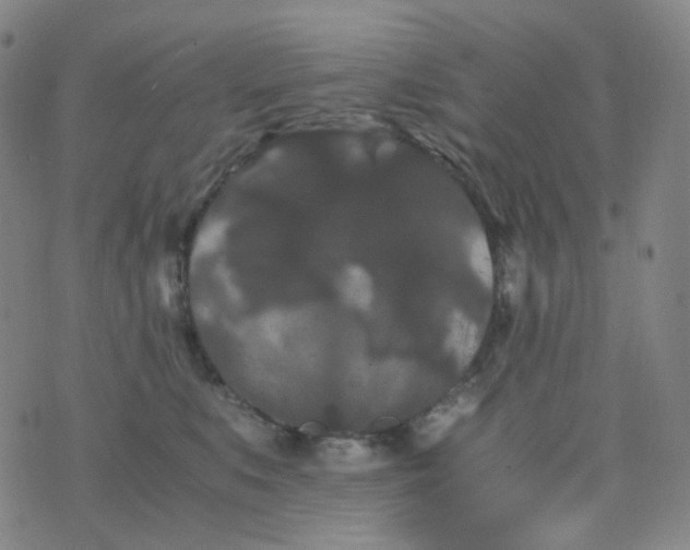 X0000076450519200610202338