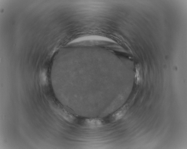 X0000076450520200610202338