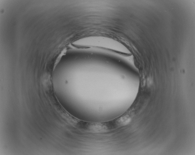 X0000076450521200610202338