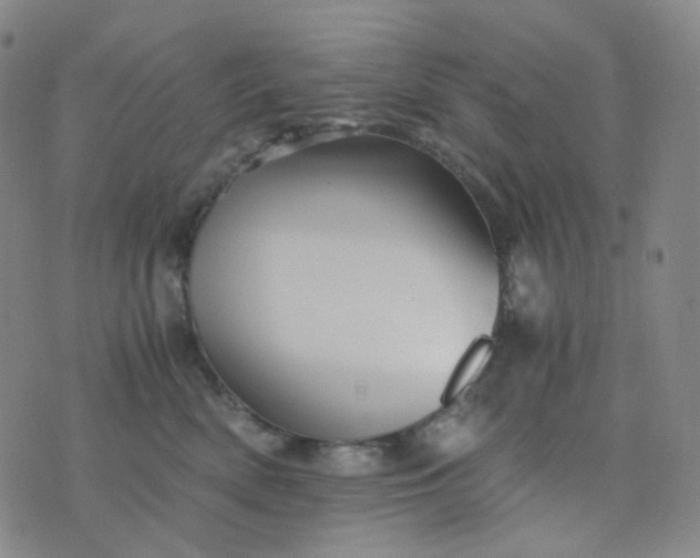 X0000076450522200610202338