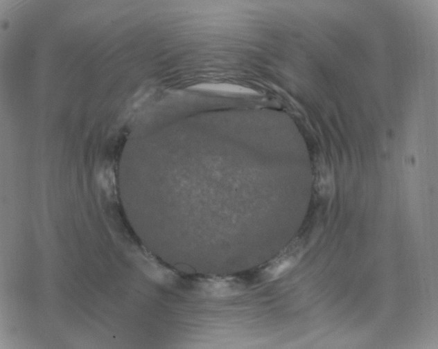 X0000076450523200610202338