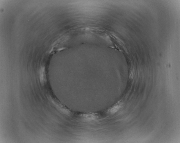 X0000076450524200610202338