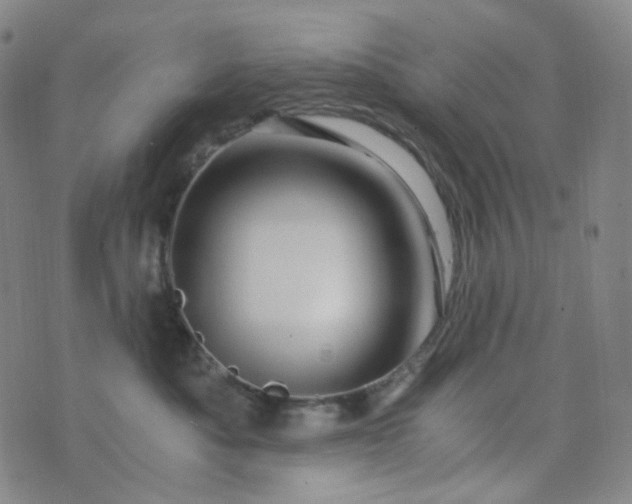 X0000076450525200610202338