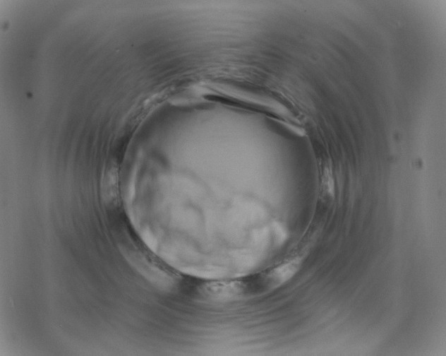 X0000076450526200610202338