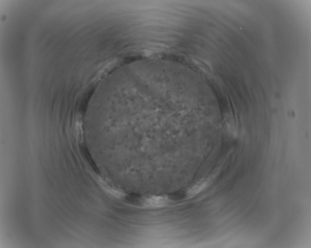 X0000076450527200610202338