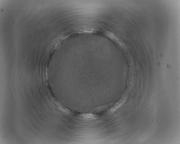 X0000076450528200610202338