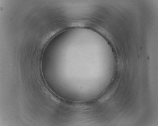 X0000076450529200610202337