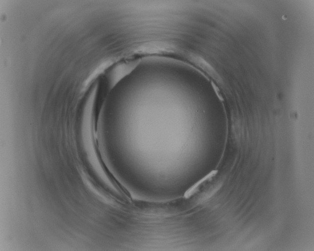 X0000076450530200610202337