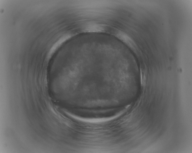 X0000076450531200610202337