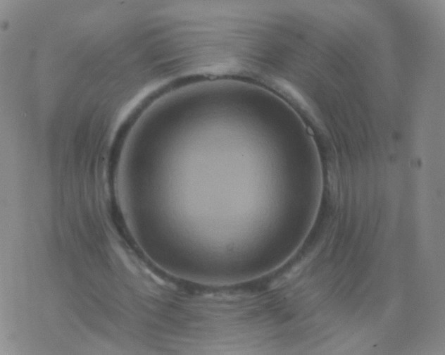 X0000076450532200610202337