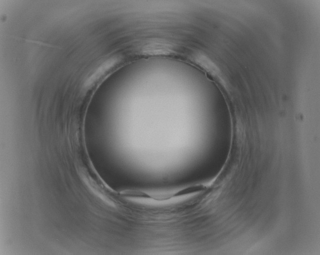 X0000076450533200610202337