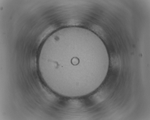 X0000076450534200610202337