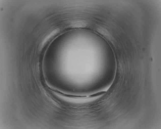 X0000076450535200610202337