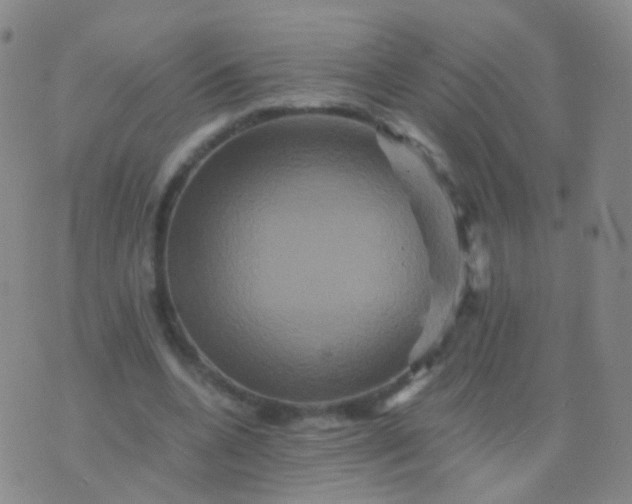 X0000076450536200610202337