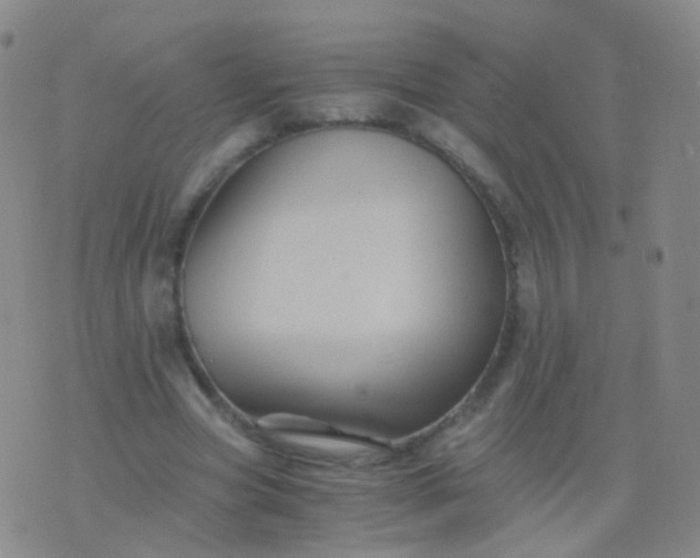 X0000076450537200610202337