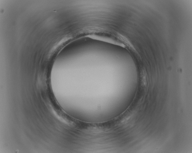 X0000076450538200610202337