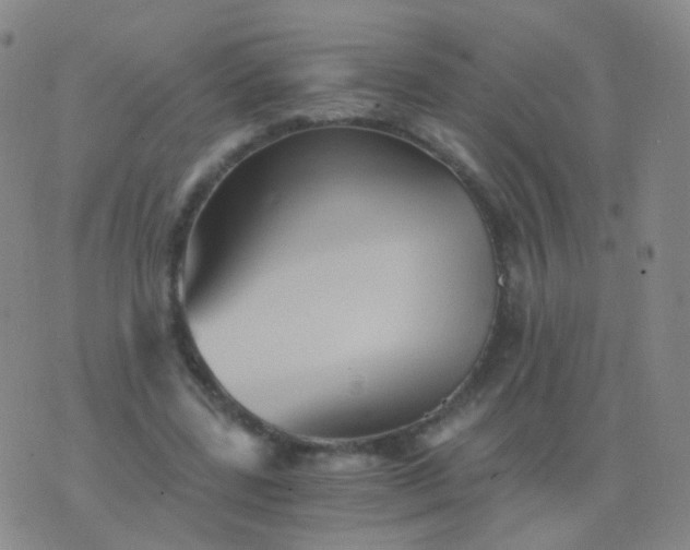 X0000076450539200610202337