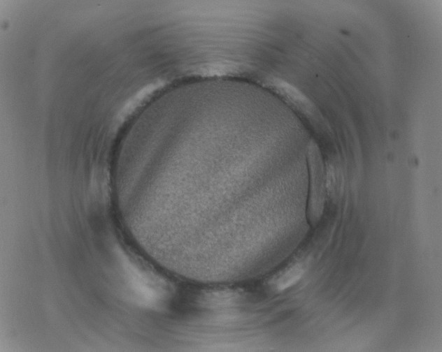 X0000076450540200610202337