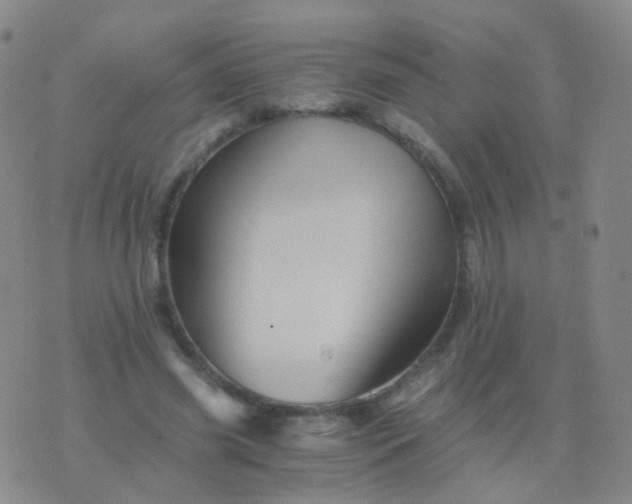 X0000076450541200610202337