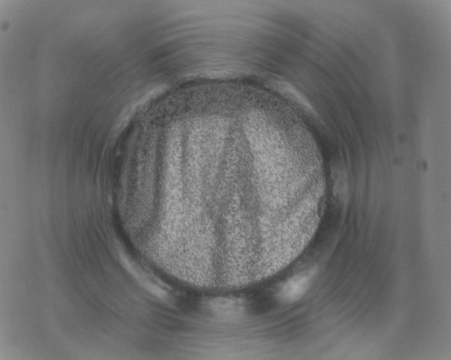 X0000076450542200610202337