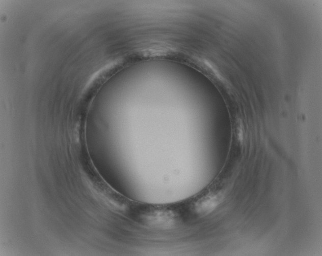 X0000076450543200610202337