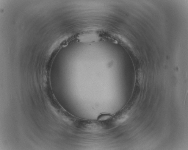 X0000076450544200610202337