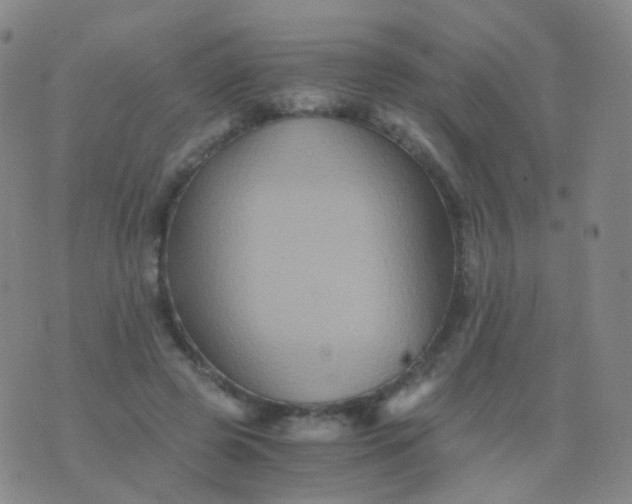 X0000076450545200610202337