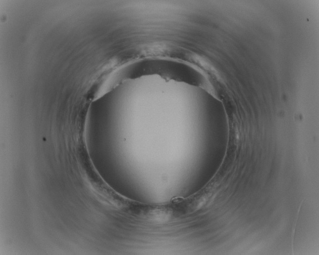 X0000076450546200610202337