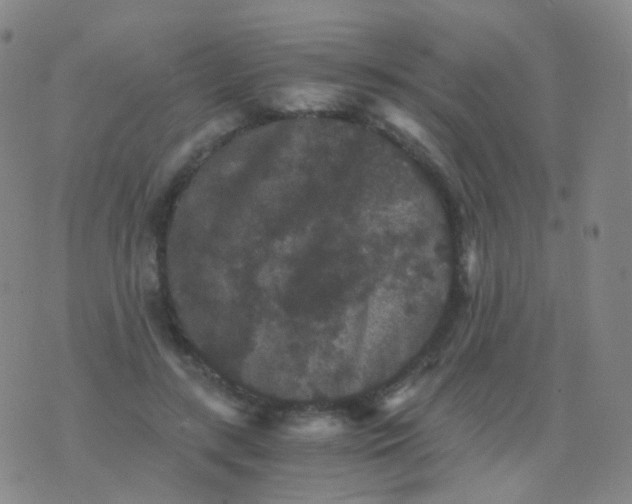 X0000076450547200610202337