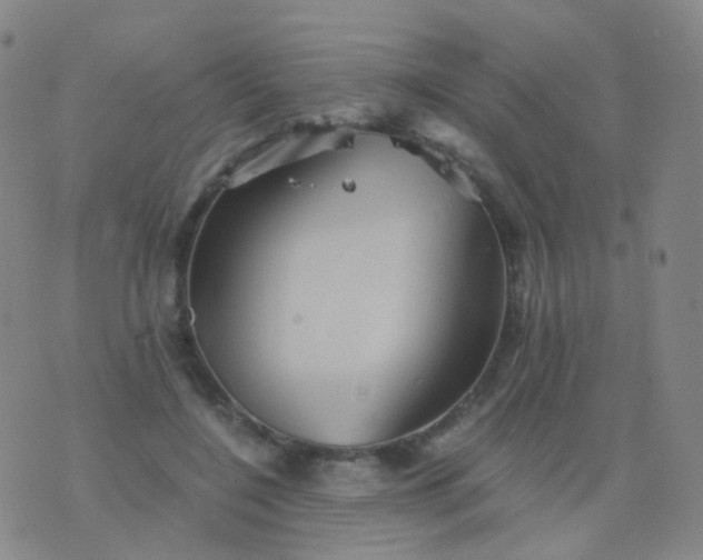 X0000076450548200610202337