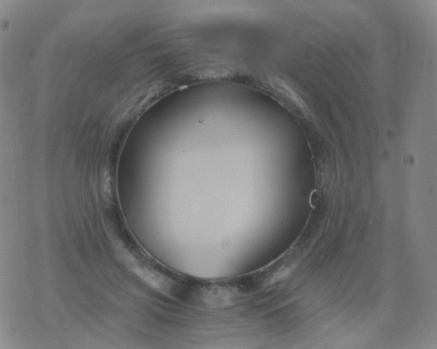 X0000076450549200610202337