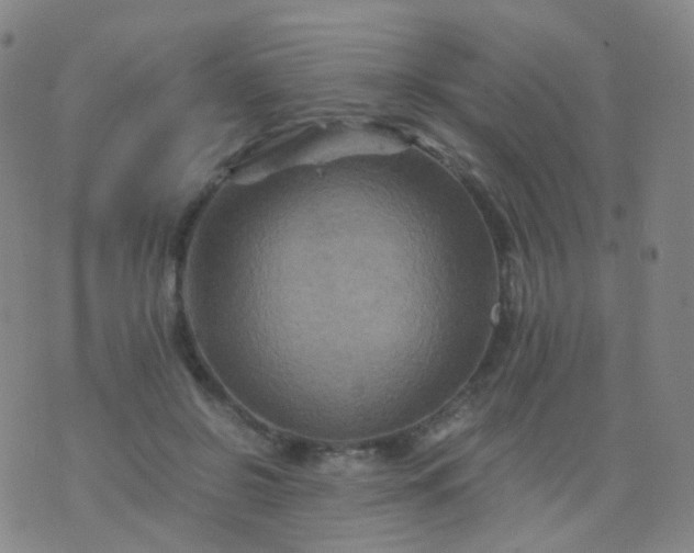 X0000076450550200610202337