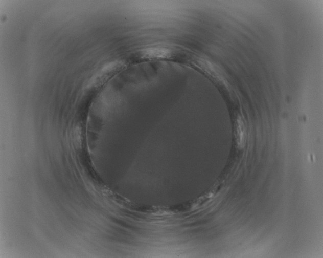 X0000076450551200610202337