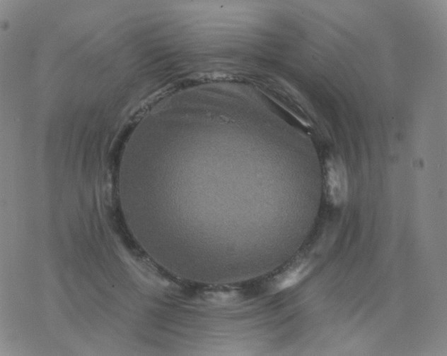 X0000076450552200610202337