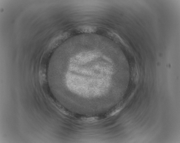 X0000076450553200610202337