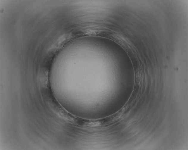 X0000076450554200610202337