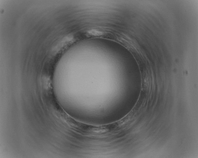 X0000076450555200610202337