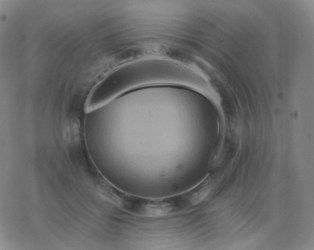 X0000076450556200610202337