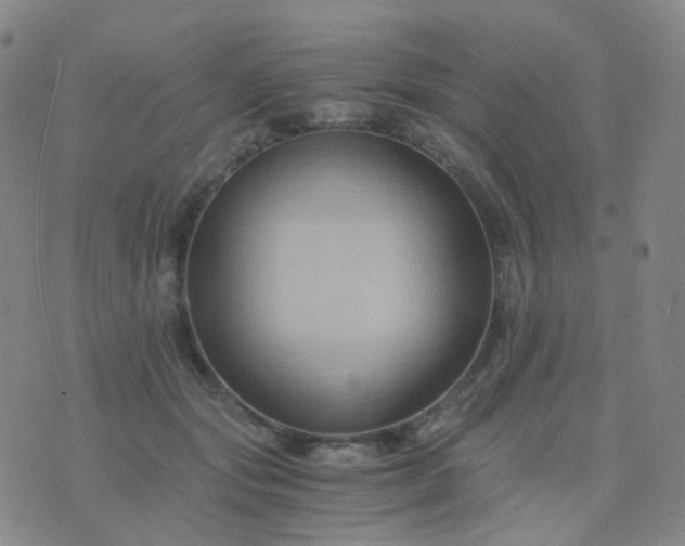 X0000076450557200610202337