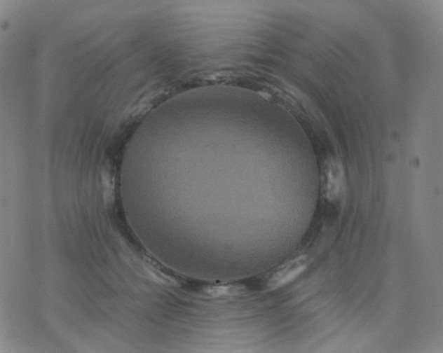 X0000076450558200610202337