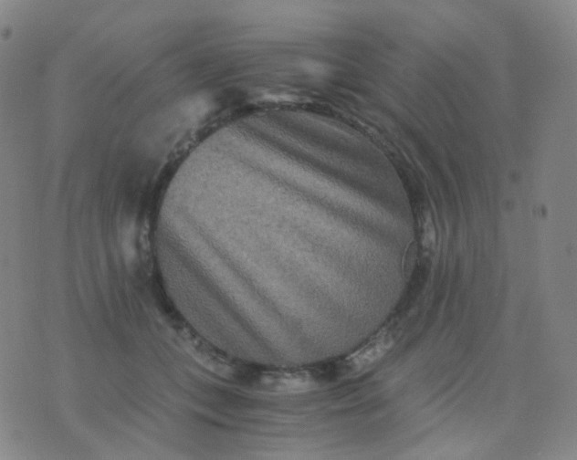 X0000076450559200610202337