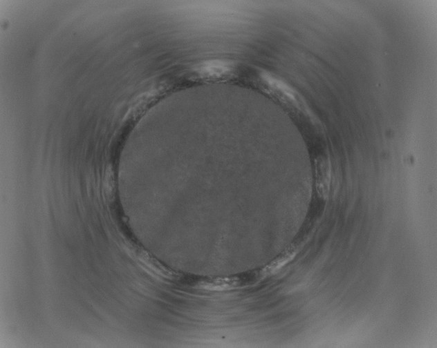 X0000076450563200610202337