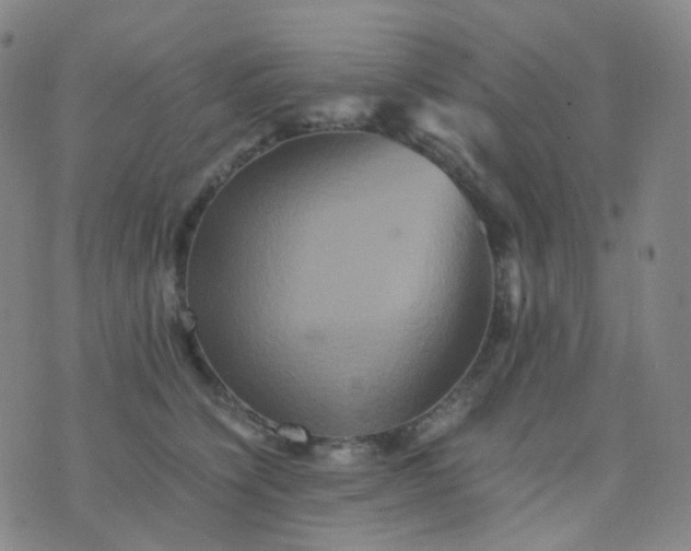 X0000076450564200610202337