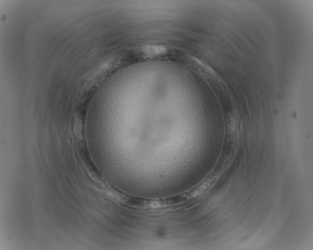 X0000076450565200610202337