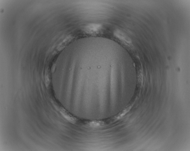 X0000076450566200610202338