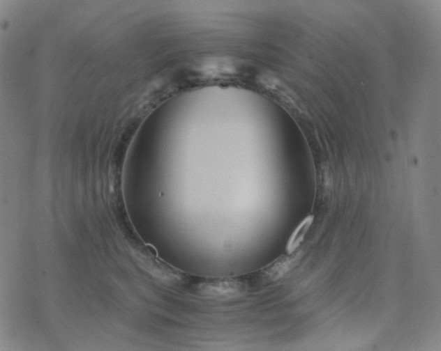 X0000076450567200610202338