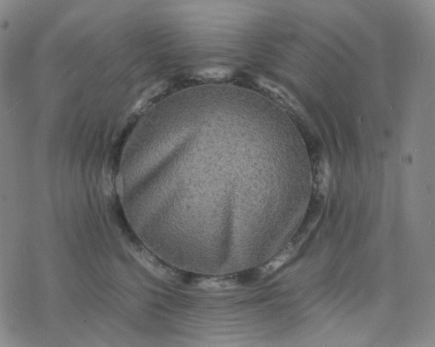 X0000076450568200610202338