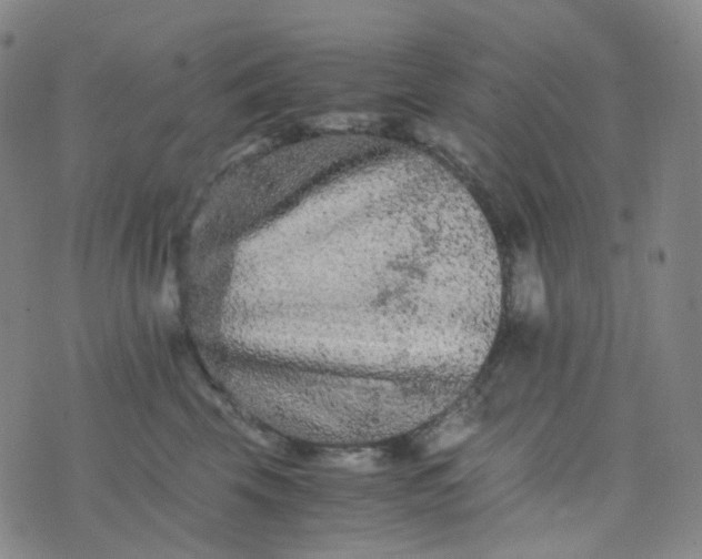 X0000076450569200610202338