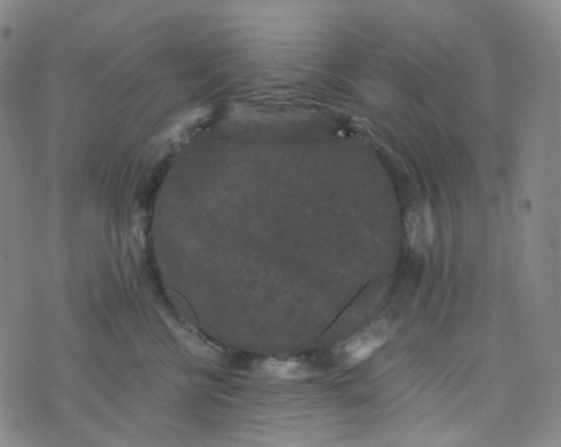 X0000076450570200610202338